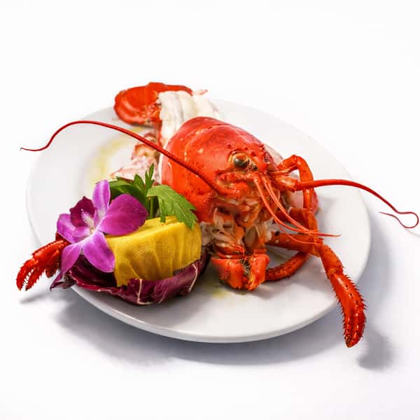 Whole Lobster