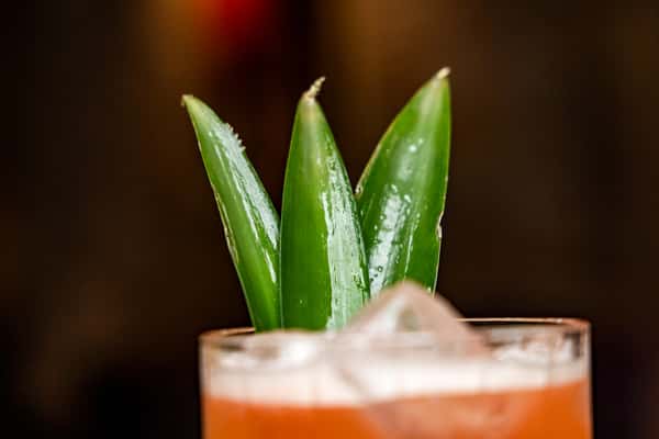 Drinks