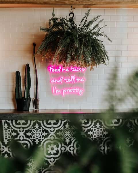 wall