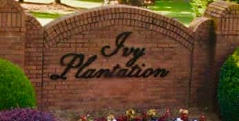 Ivy Plantation