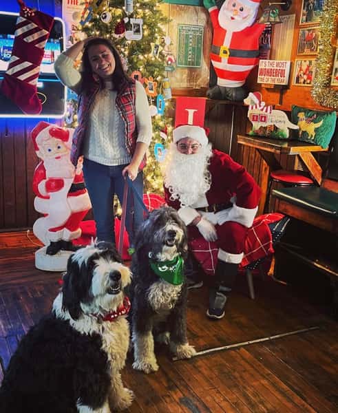 xmas8