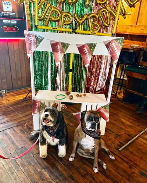 dog event