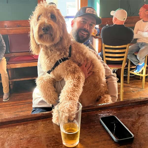 dog30