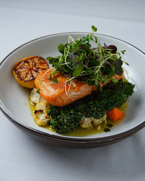 Salmon