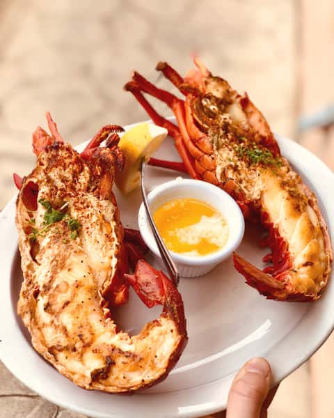 Lobster Puerto Nuevo