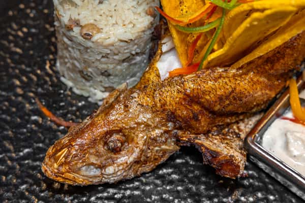 Whole Red Snapper