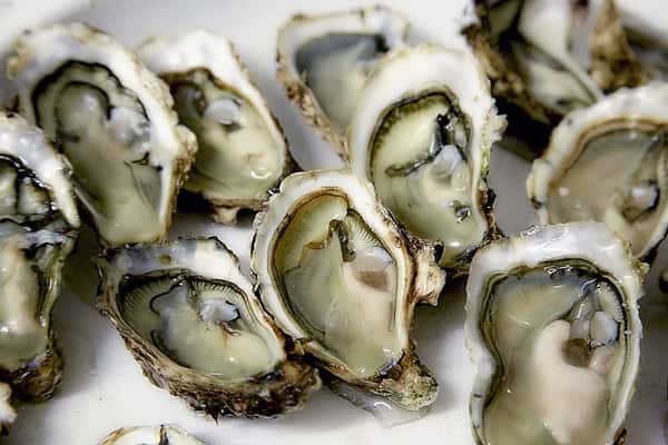 A close-up of freshly shucked oysters displayed on ice, showcasing their plump, glossy texture and natural briny freshness. The shells frame each oyster beautifully, highlighting a classic coastal delicacy perfect for seafood lovers.
