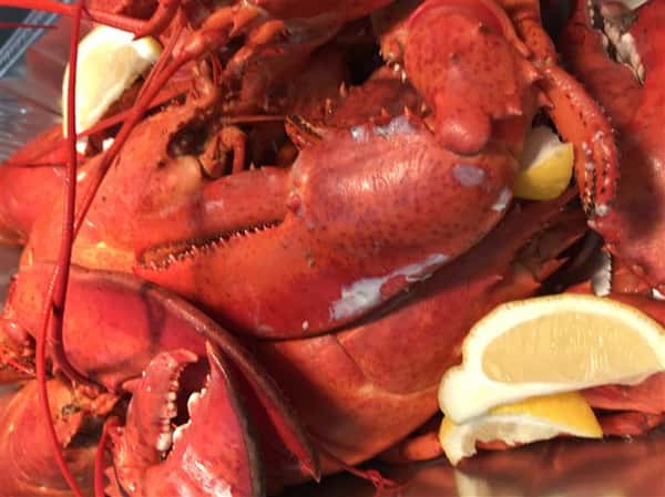 lobster
