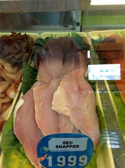 red snapper for sale