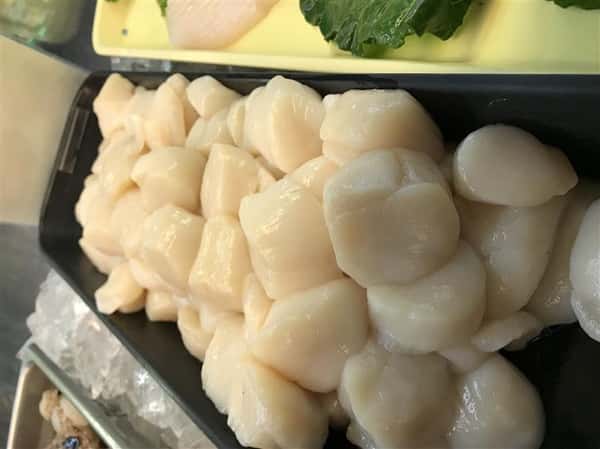 scallops