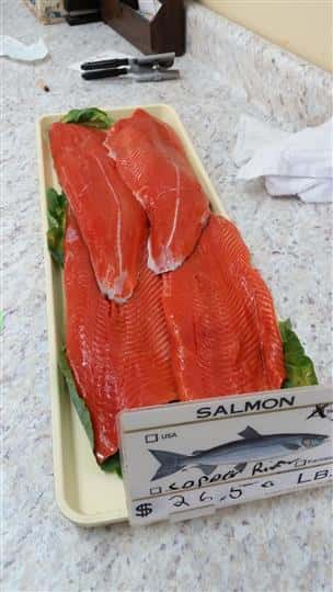 salmon