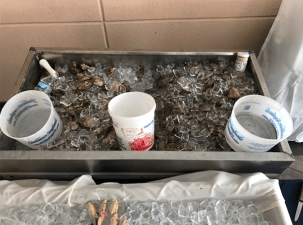oysters on ice