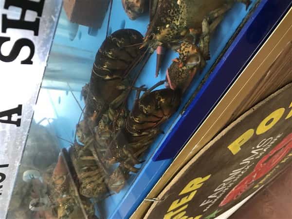 whole lobster