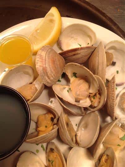 oysters