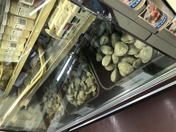 oysters for sale