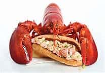 lobster