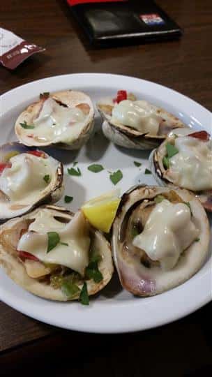 raw oysters