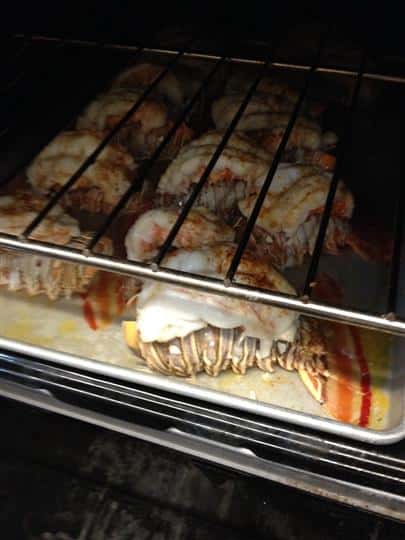 lobster