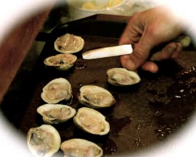 raw oysters