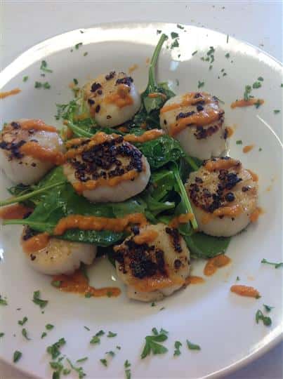scallops