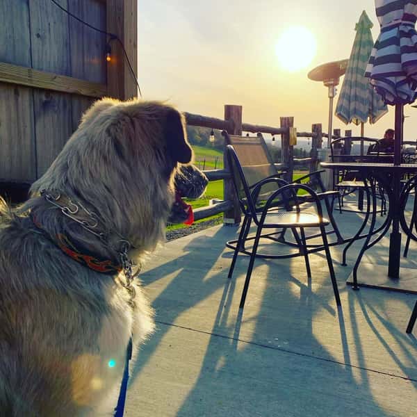 Summertime on the back patio