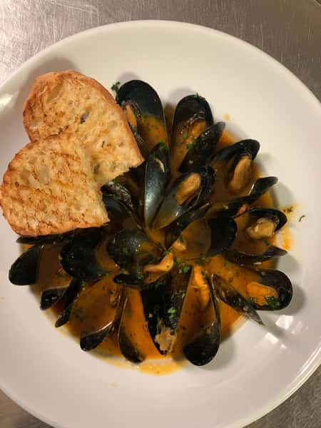Black Mussel