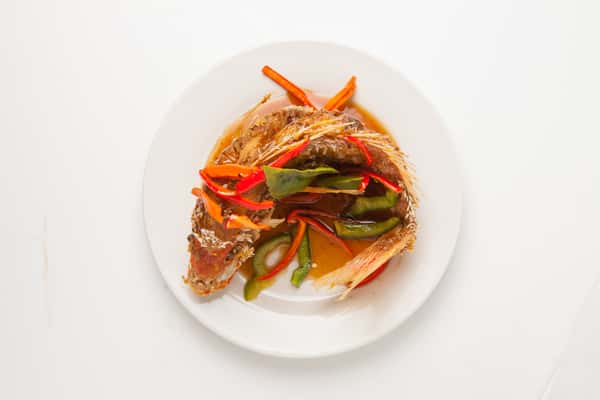 Red Snapper