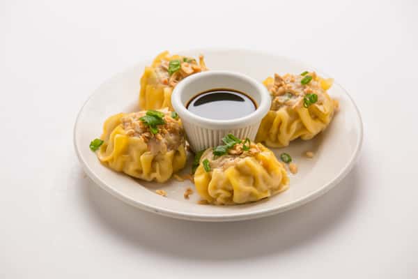wonton