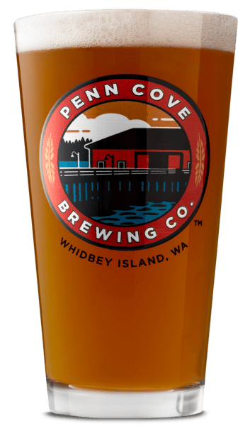 Maxwelton Scotch Ale