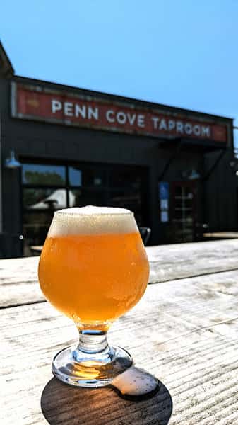 Czech Style Pilsner - Barn Batch #13
