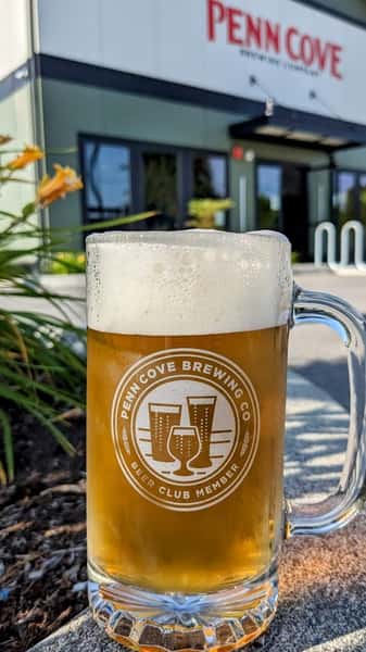 Sunlight Wheat Summer Ale