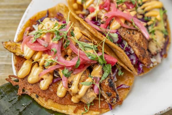 Octopus + Mahi Tacos