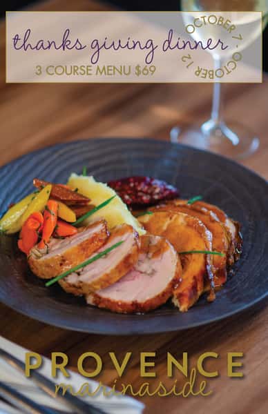 Turkey Dinner