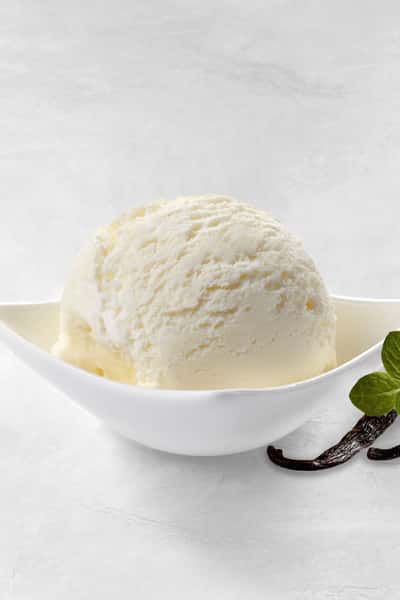 VEGAN VANILLA GELATO
