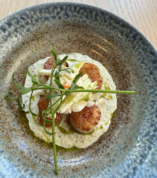 Scallops App