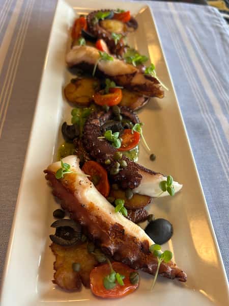 Octopus