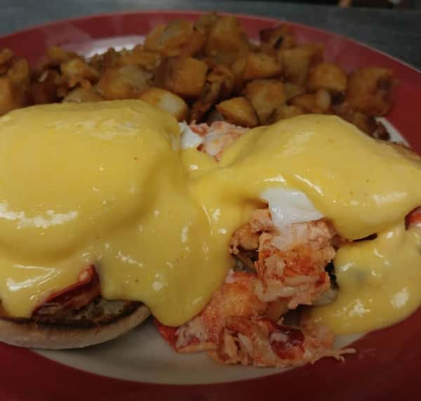 Lobster Benny