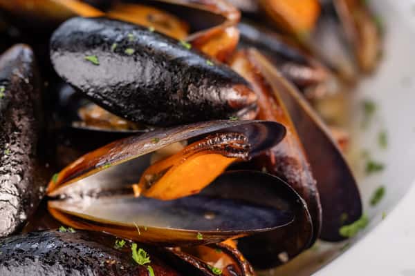 Steamed Mussels in White Wine Sauce