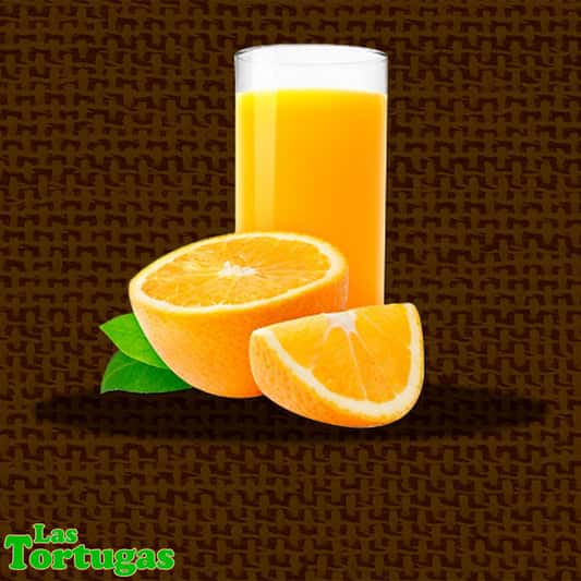 Jugo Natural 20oz