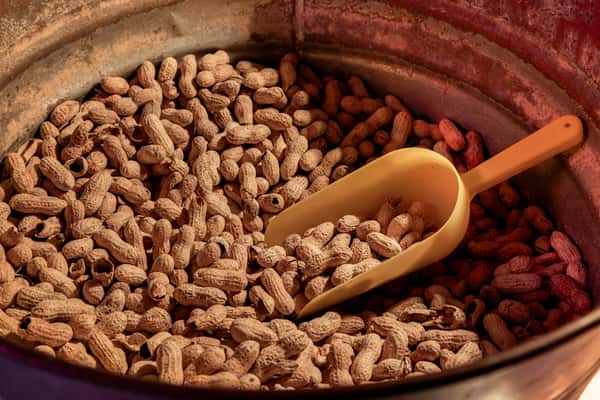 A large metal barrel filled with unshelled peanuts, accompanied by a yellow scoop—perfect for self-serve snacking in a casual pub setting.