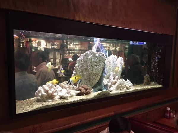 salt water tank
