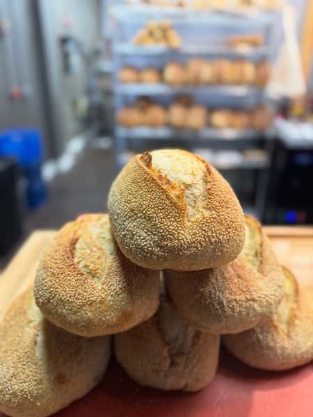 Sesame Durum