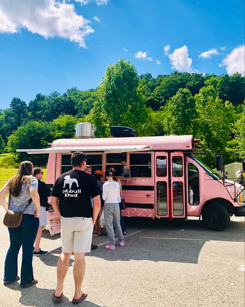 People lining up at a vibrant pink food truck parked in a sunny outdoor setting with lush green trees in the background — the retro-style truck serves donuts and fried chicken, creating a fun, nostalgic vibe at a local food event.