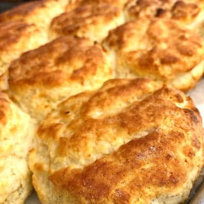 Biscuit