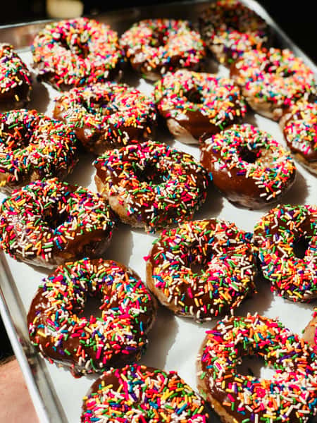 Tray of freshly made chocolate glazed donuts topped with colorful rainbow sprinkles, displayed in rows under natural light — a vibrant and playful sweet treat from a specialty donut shop.