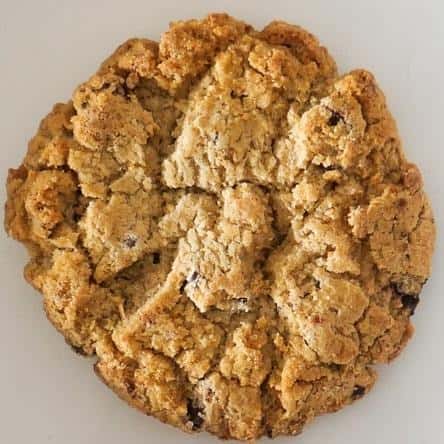 Chocolate Chip Cookie (V)