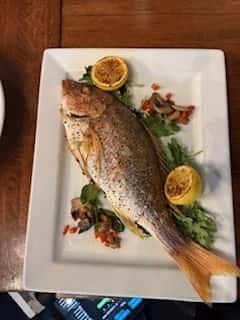 Whole Red Snapper