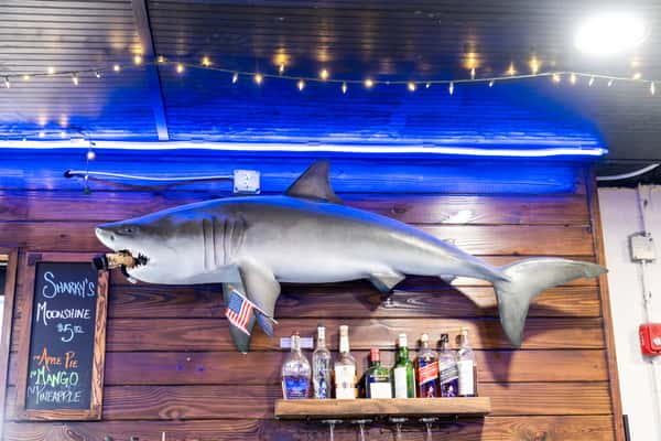 Large shark decor mounted above a bar area with string lights and blue neon lighting on an outdoor wooden deck at a restaurant