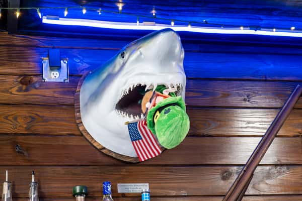 Shark head decor mounted on a wooden wall with an American flag, illuminated by blue neon lighting inside a restaurant