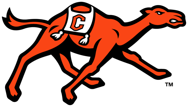 Camels